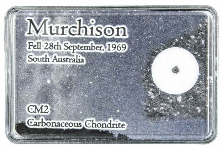 Murchison Chondrite Meteorite Fragment - Australia #286081